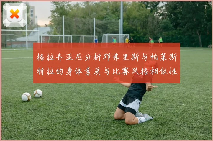 格拉齐亚尼分析邓弗里斯与帕莱斯特拉的身体素质与比赛风格相似性